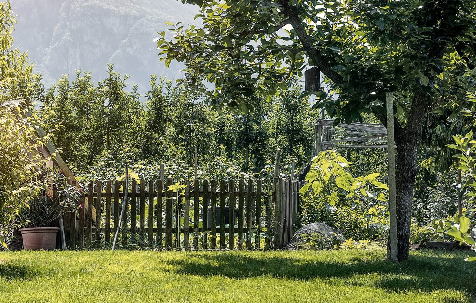 Stihl Bomen Planten Instructies 3