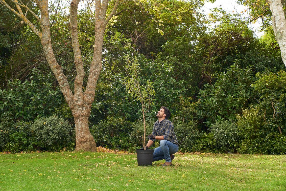 Stihl Bomen Planten Instructies 4