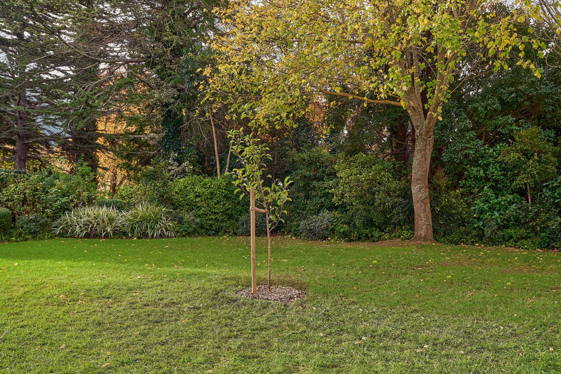 Stihl Bomen Planten Instructies 15